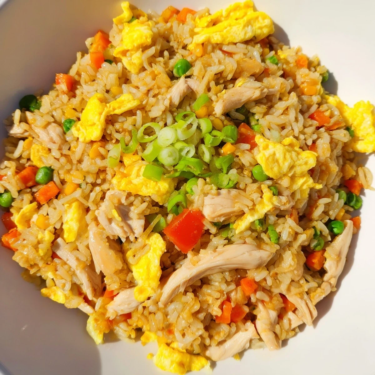 Steaming plate of chicken fried rice garnished with sliced egg omelette and fresh green onions