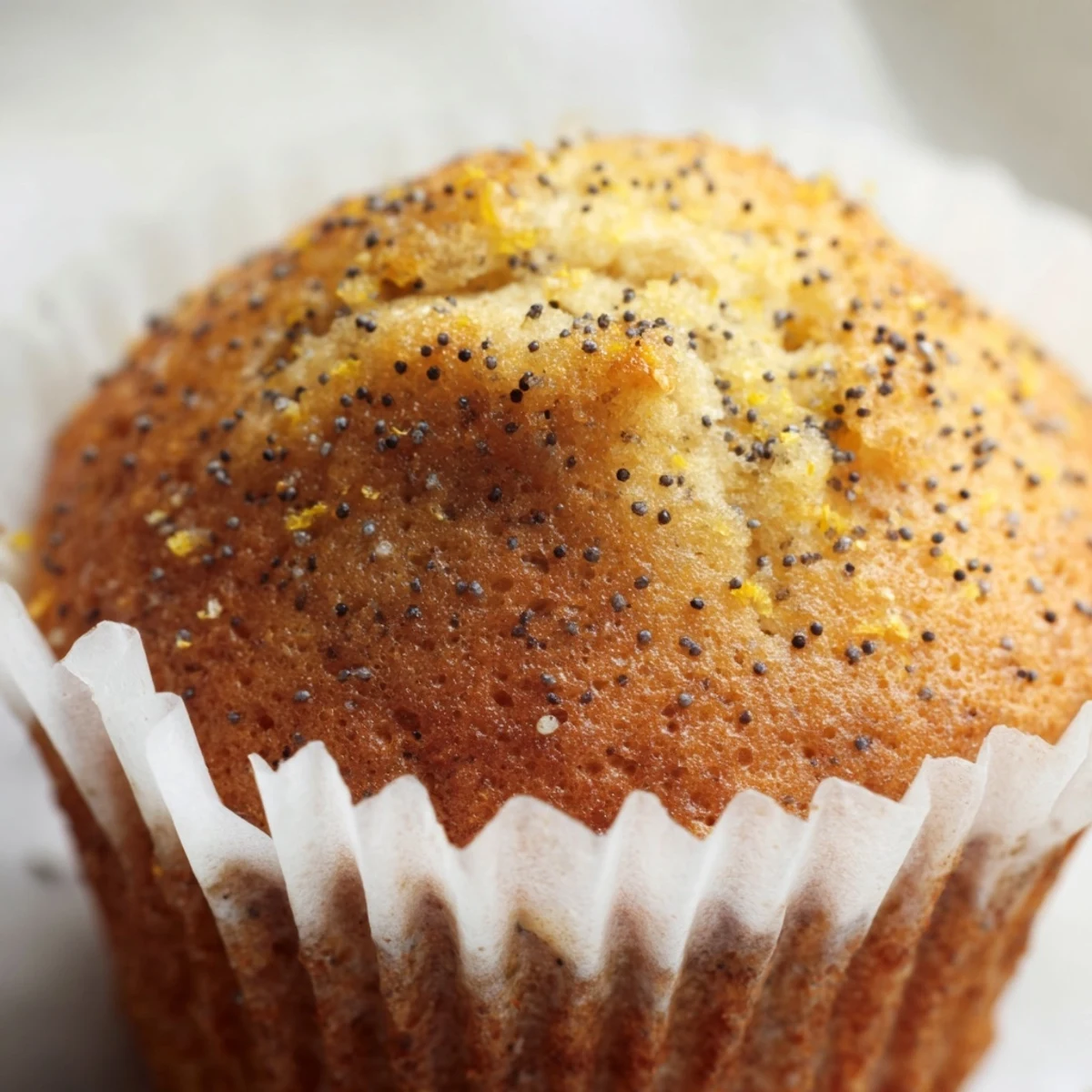 Golden lemon poppy seed muffins with domed tops fresh from the oven on a wire cooling rack.