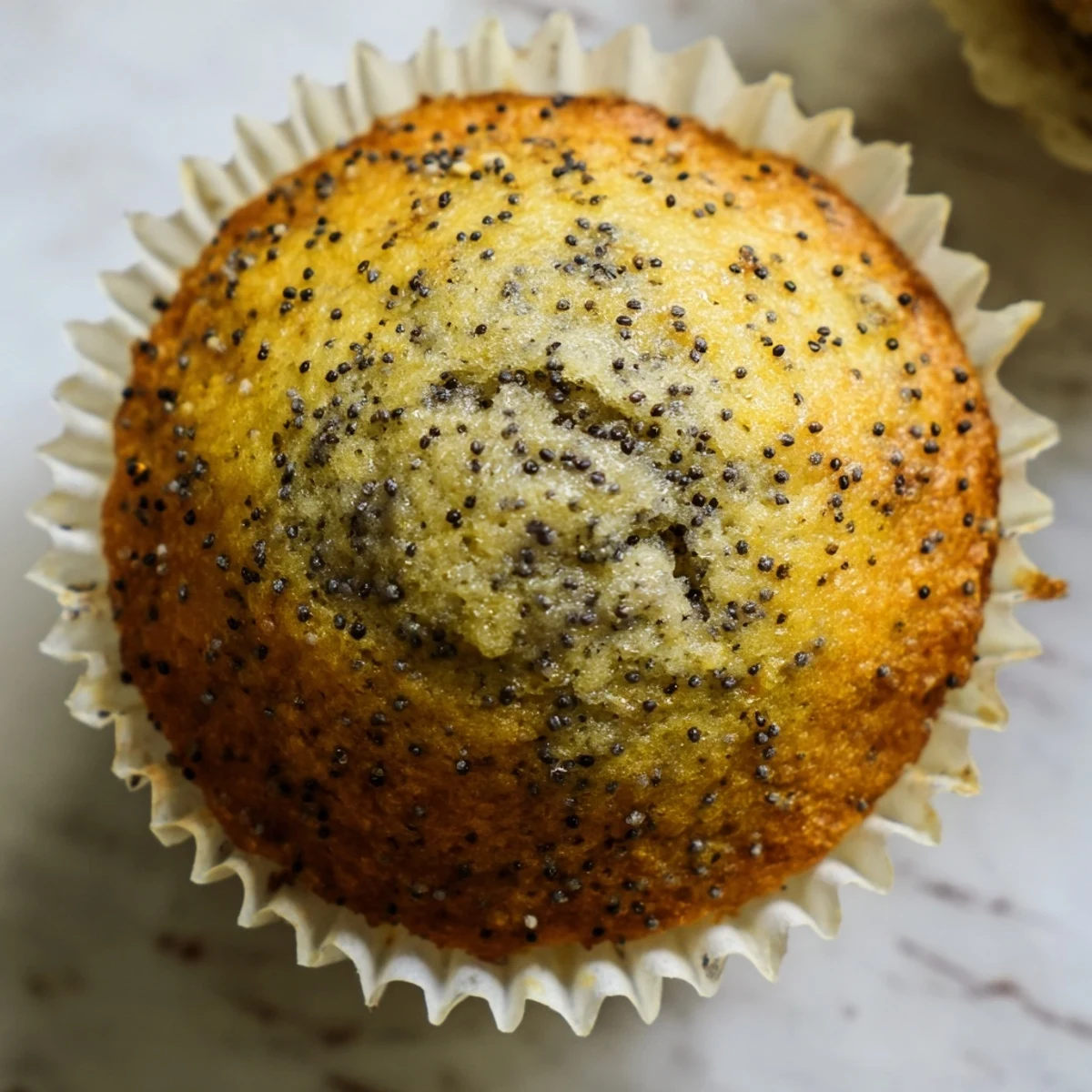 Moist lemon poppy seed muffins studded with speckled seeds beside a bowl of bright lemon zest.
